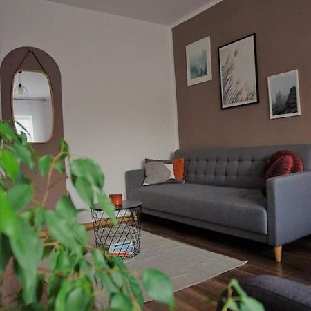 Cozy Apart Toplita Eksteriør billede