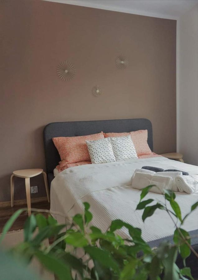 Cozy Apart Toplita Eksteriør billede